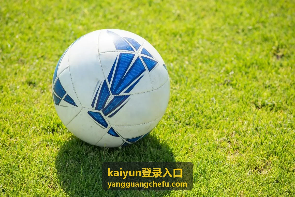 kaiyun登录入口 会员内容详情配图
