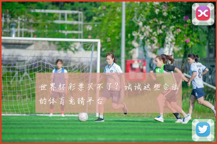 世界杯彩票买不了？试试这些合法的体育竞猜平台