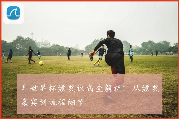 年世界杯颁奖仪式全解析：从颁奖嘉宾到流程细节
