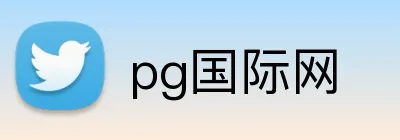pg国际网 logo